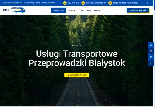 BGU Przeprowadzki 10 najczęstszych błędów trans